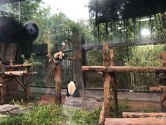 -野生动物园-停车场