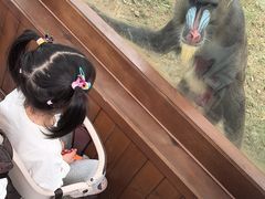 -合肥野生动物园