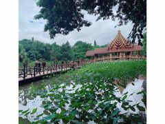 -中国科学院西双版纳热带植物园
