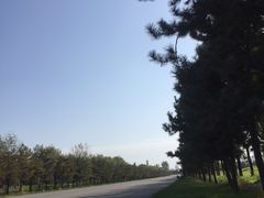 -汉长安城未央宫国家考古遗址公园