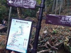 -藏龙百瀑风景区