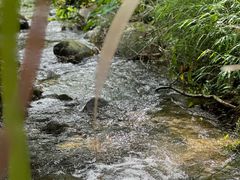-广州市石门国家森林公园