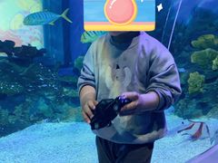 -常州海昌海洋探索馆