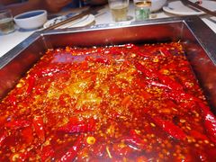 -二荆条·蜀鲜汇城市森林火锅