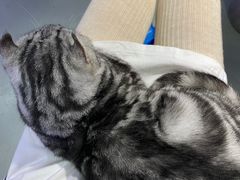 -极木²邸 人与宠物·互动社区