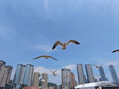 -星海广场