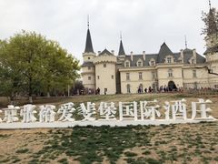 -北京张裕爱斐堡酒庄
