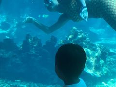 -海棠湾洲际-涛·海底餐厅·美人鱼·自助餐·海底隧道