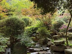 -桃花岭景区