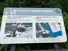 -中国大熊猫保护研究中心雅安碧峰峡基地