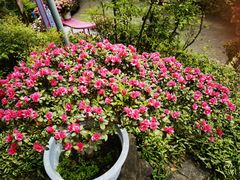 -虞山城墙