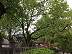 -汇龙潭