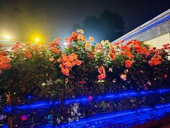 -张记焖窑·十五年专注焖烤(雍和宫店)
