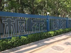 -枫花园汽车电影院(朝阳公园店)