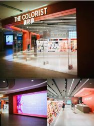 -THE COLORIST调色师