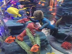 -成都泰迪熊博物馆