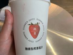草莓多肉-树夏(金楠天街店)