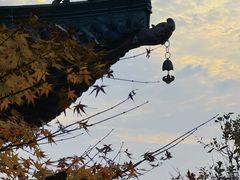 -杭州半山国家森林公园