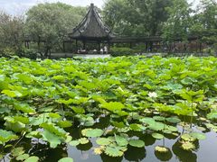 -上海醉白池公园
