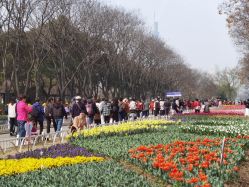 -玄武湖景区-情侣园游乐场