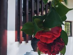 -深圳国际园林花卉博览园