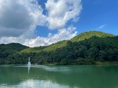 -广州白江湖森林公园