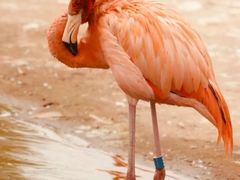 -鄂尔多斯野生动物园