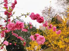 -石家庄市植物园