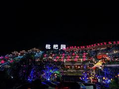 -枇杷园食为鲜火锅(南山店)