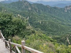 -大岭沟猕猴桃谷风景区