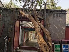 -大觉寺-停车场