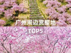 -广东茂名森林公园