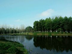 -白鹭湾湿地公园