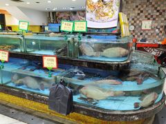 水产区-鹅公村·国家非遗传承(荔湾店)