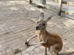 -水上乐园·欢乐世界