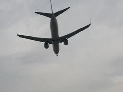 -空港花田景区