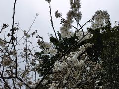 -重庆彩云湖湿地公园