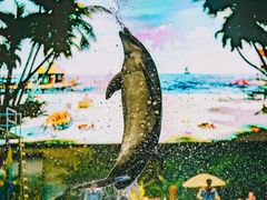 -海合安天津极地海洋公园