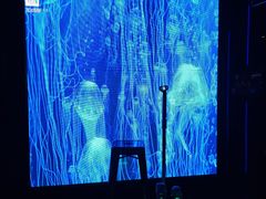 -唱吧麦颂KTV·派对(东坝店)