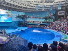 -海合安成都极地海洋公园