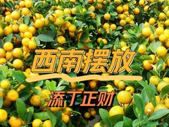 -天河体育中心