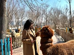 -水上乐园·欢乐世界