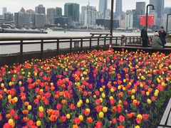 -丹东路渡口(轮渡站)