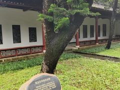 -柳侯公园