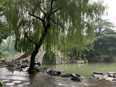 -西苑公园
