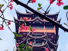 -塔子山公园