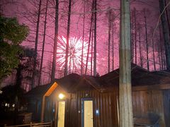 -上海怡沁园度假酒店