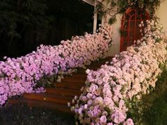 -白马涧龙池景区