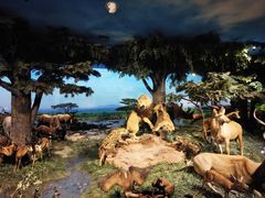 -国家自然博物馆