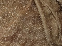 -蜀九香火锅(九眼桥店)